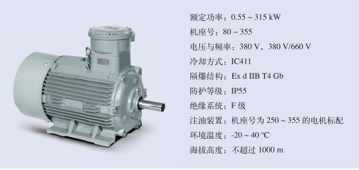 防爆电机铭牌各个参数的含义是什么